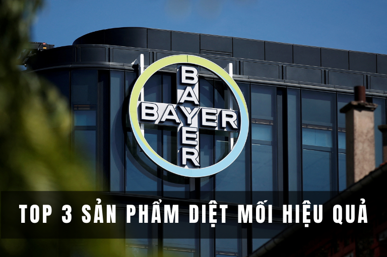 Top 3 sản phẩm diệt mối hiệu quả tốt nhất của BAYER